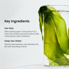 BIODANCE Refreshing Sea kelp Real Deep Mask, Overnight Hydrogel Mask, Calming, Oil & Sebum Control, Blemish Care 1.19oz