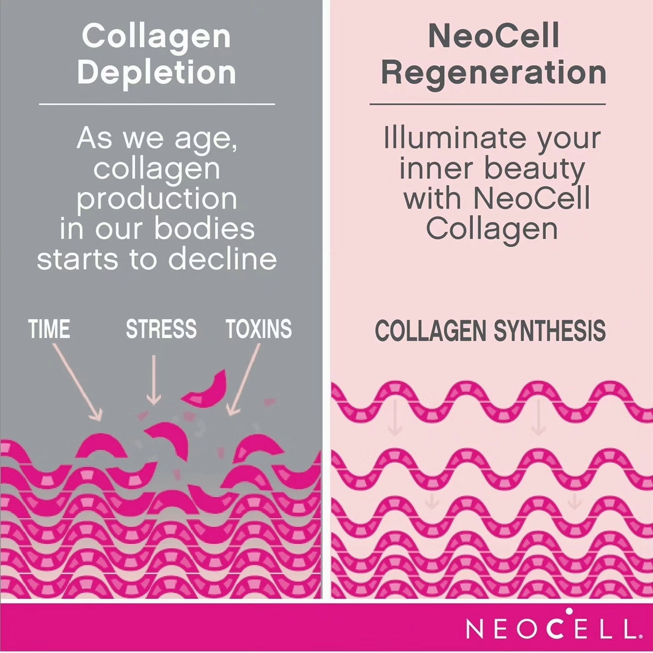 NeoCell Collagen Peptides +hyaluronic acid +Vitamin C Liquid, 4g Collagen Per Serving, Gluten Free, Types 1 & 3, Promotes Healthy Skin, Hair, Nails & Joint Support, berry, 16 Oz NeoCell Collagen Peptides +hyaluronic acid +Vitamin C Liquid, 4g Collagen Per Serving, Gluten Free, Types 1 & 3, Promotes Healthy Skin, Hair, Nails & Joint Support, berry, 16 Oz