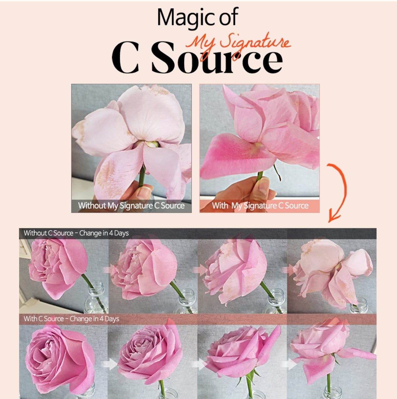 TIAM MY SIGNATURE C SOURCE TIAM MY SIGNATURE C SOURCE