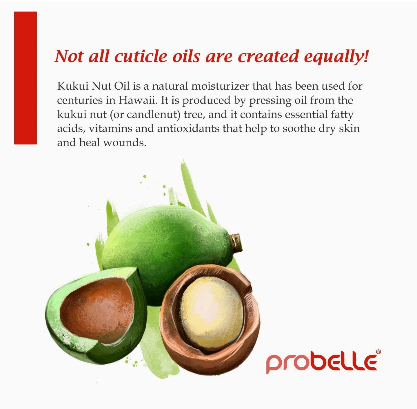 Probelle Kukui Nut Oil Botanical Cuticle Oil, conditions and softens cuticles for healthy nails and cuticle growth, 5oz/ 15 mL