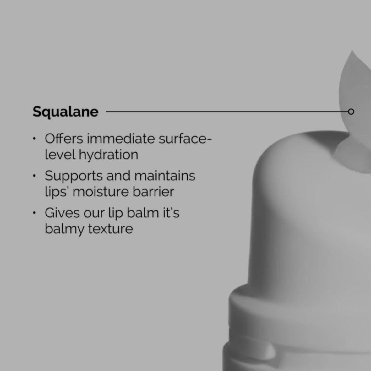 The Ordinary Squalane + Amino Acids Lip Balm The Ordinary Squalane + Amino Acids Lip Balm