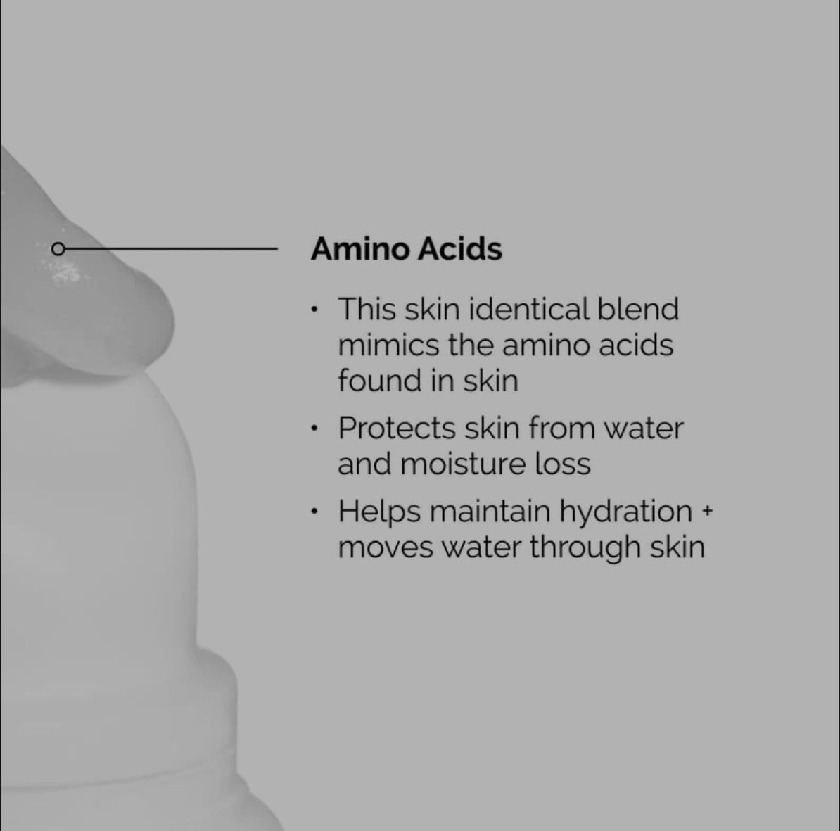 The Ordinary Squalane + Amino Acids Lip Balm The Ordinary Squalane + Amino Acids Lip Balm