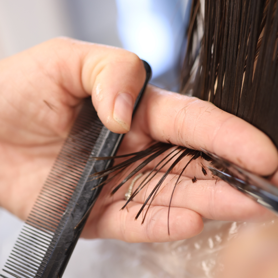 Hair Trimming Hair Trimming
