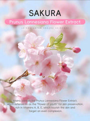 LAIKOU Japan Sakura Skincare Set
